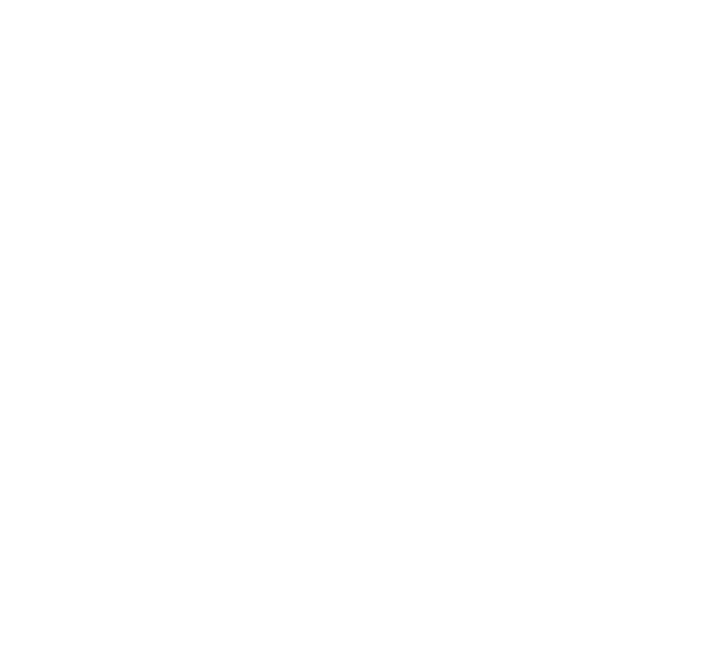 SRS Raise the Roof Foundation